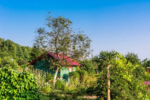 Ahşap evi ve yaz aylarında kırsal ev bahçe