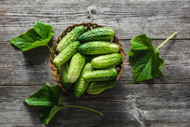 Taze organik salatalık, biyo sebze çiftçi piyasasında, ahşap masa üzerinde taze hasat salatalık