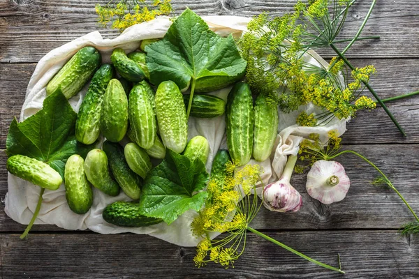 Preparation pickling cucumber. Garlic and dill. Cucumbers and spices, freshly harvested vegetables to seasonal preservation.