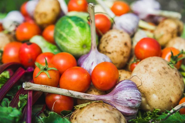 ファーマーズマーケット 野菜の背景 新鮮な新鮮な収穫野菜をエコ農業 有機食品 菜食主義の食事療法の概念から生成します — ストック写真