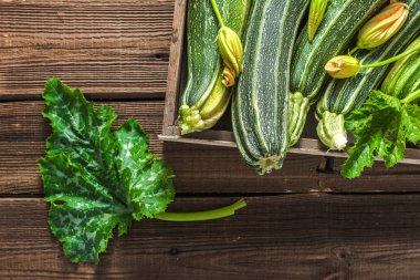 Bir kutusunda, yerel çiftçi sebze taze kabak Pazar, taze hasat kabak, yaz squash