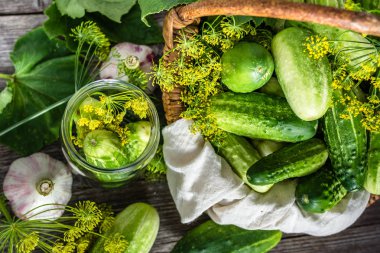 Hazırlık dekapaj salatalık. Taze otlar, dereotu, sarımsak ve salatalık kavanoza. Kış için korur.
