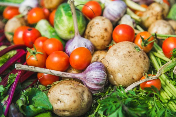 Alimento Ecológico Verduras Orgánicas Fondo Productos Frescos Granja Mercado Horticultor — Foto de Stock