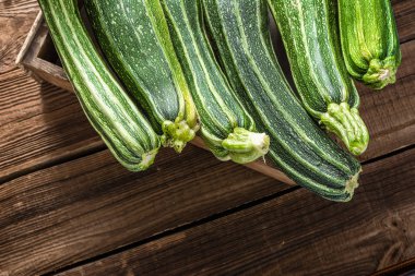Yeşil kabak, organik sebze. Çiftlik Taze kabak bir kutusunda, ek yükü.