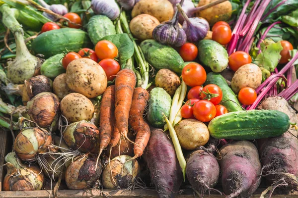 野菜背景 バイオ有機野菜 農家の市場で新鮮な農産物を各種 — ストック写真