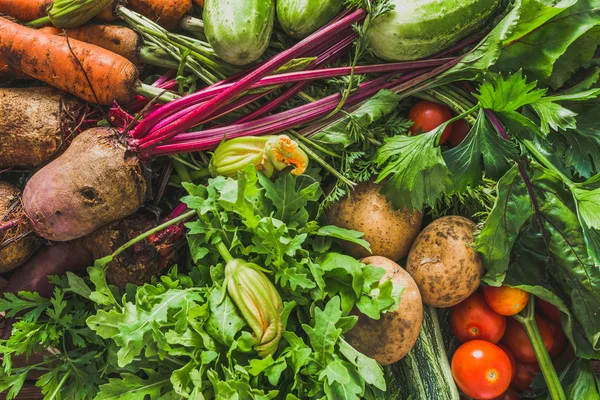 新鮮な野菜の背景 健康食品 野菜収穫 — ストック写真