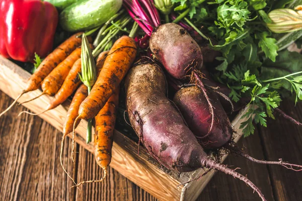 バイオ食品 庭の農産物と収穫野菜 新鮮な農場野菜の木製の箱 ニンジン ビーツ — ストック写真