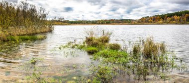 Göl Manzara ve sonbahar ormanda bulutlu hava