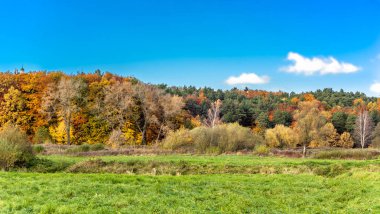Autumn, yeşil alan ve mavi gökyüzü ile panorama ormanda doğal peyzaj