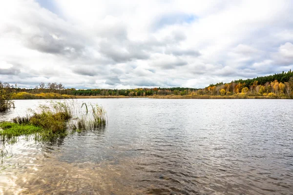 Paesaggio Autunnale Nuvoloso Con Lago Foresta — Foto Stock