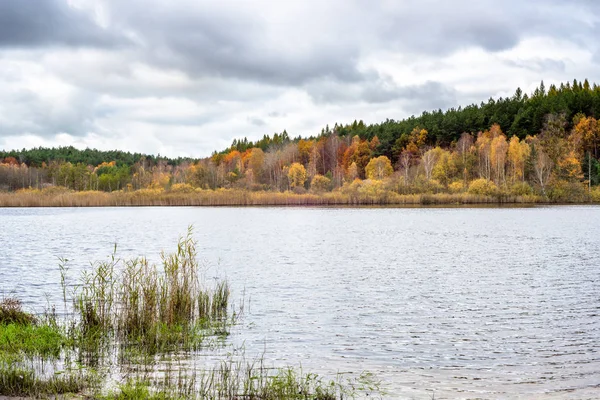 Divoká Krajina Podzim Sedlčany Barevné Stromy — Stock fotografie