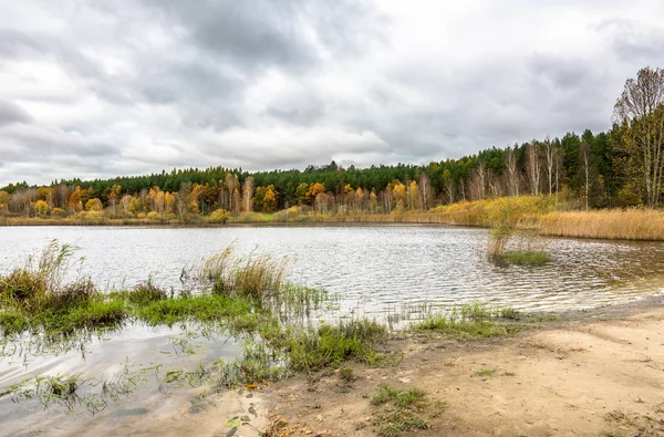 Nublado Paisaje Otoñal Con Bosque Sobre Lago — Foto de Stock