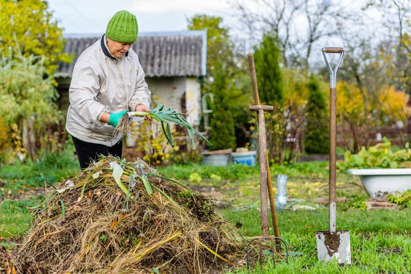 Donna Giardiniere Peeling Verdure Appena Raccolte Raccolta Giardino Concetto Agricoltura — Foto Stock