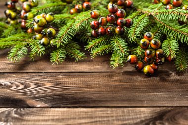 Yeşil çam çerçeve, Noel arka plan, kopya alanı