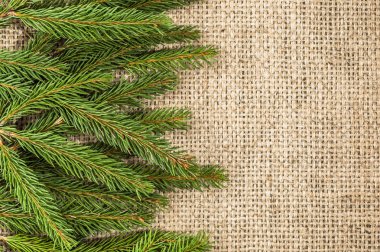 Yeşil çam arka plan, Noel çerçeve