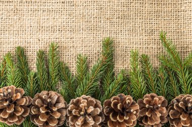 Çam kozalakları rustik zemin üzerine yeşil Noel ağacı şube