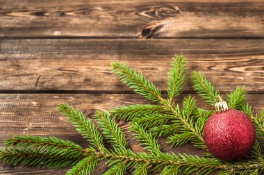 Noel biblo yeşil Noel ağacı dalı