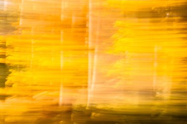 Bulanık arka plan ile doğal sonbahar duvar kağıdı