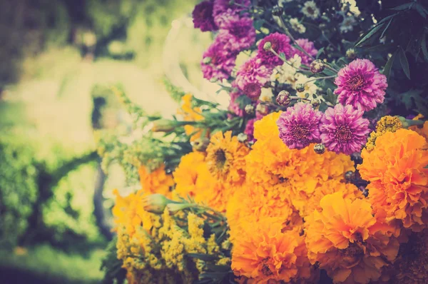 Sonbahar Çiçek Buketi Aster Kadife Çiçeği — Stok fotoğraf