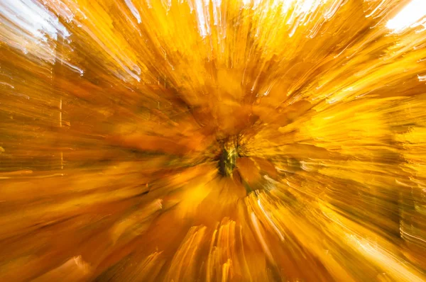 Papel Parede Outono Natural Com Fundo Embaçado Abstrato — Fotografia de Stock