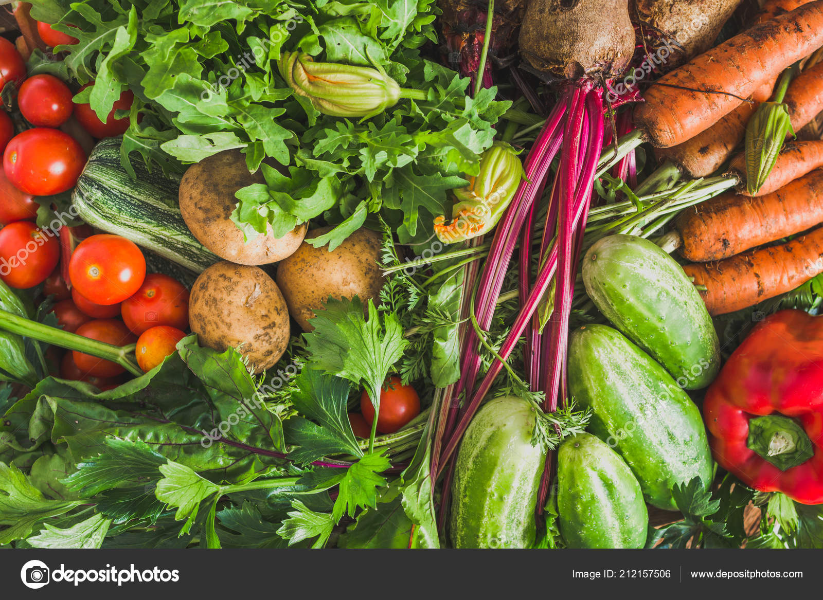 Produce Organic Squash Background Photo Farm Vegetable Garden Produce Harvested Vegetable