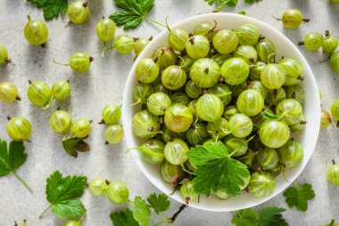 Yeşil üzümlü üzümler, bektaşi üzümü hasadı, yapraklar ve böğürtlen kasesi.