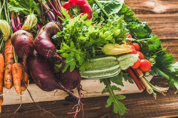 Productos Ecológicos Hortalizas Cosechadas Vegetales Frescos Granja Caja Mercado Agrícola — Foto de Stock