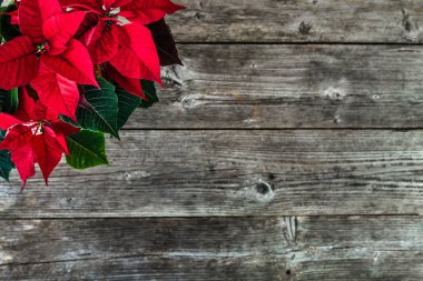 Noel arka plan kırmızı dekorasyon, Noel ile Yılbaşı çiçeği çiçek ahşap tablo