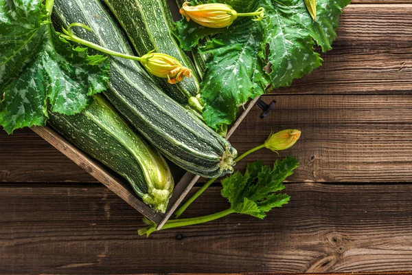 Grön Zucchini Färsk Gården Grönsaker Bondens Marknad Vegetabiliska Skörd — Stockfoto