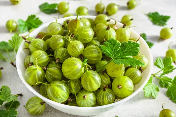 Bacche Verdi Uva Spina Fresca Raccolto Estivo Uva Spina Foglie — Foto Stock