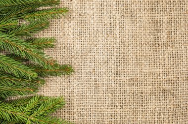 Köknar kenarlıklı Noel rustik arka plan