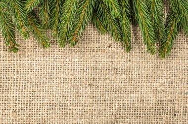 Köknar kenarlıklı Noel rustik arka plan