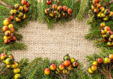 Köknar kenarlıklı Noel rustik arka plan