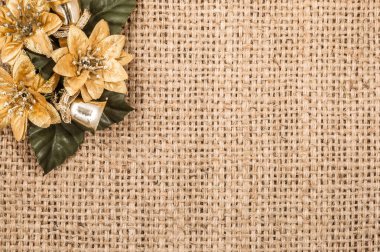Atatürk çiçeği çiçek, kopya alanı ile Noel arka plan