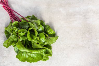 Biyo sebze. Demet pancar, Yeşil taze yaprakları taze hasat pancar yaprakları.