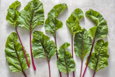 Yeşil pancar yaprakları, taze çiftlik sebze arka plan taze hasat pancar yaprakları, desen