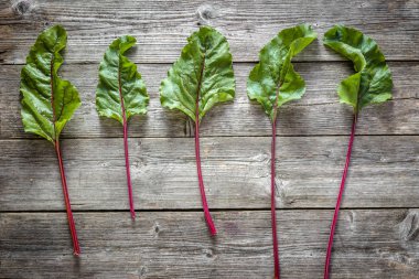 Pancar yeşil yaprakları. Ahşap arka plan üzerinde çiftlik taze sebze.