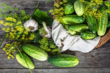 Taze hasat salatalık dekapaj için