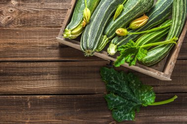 Taze kabak, yeşil sebze yerel çiftçi pazar, taze hasat kabak, yaz squash