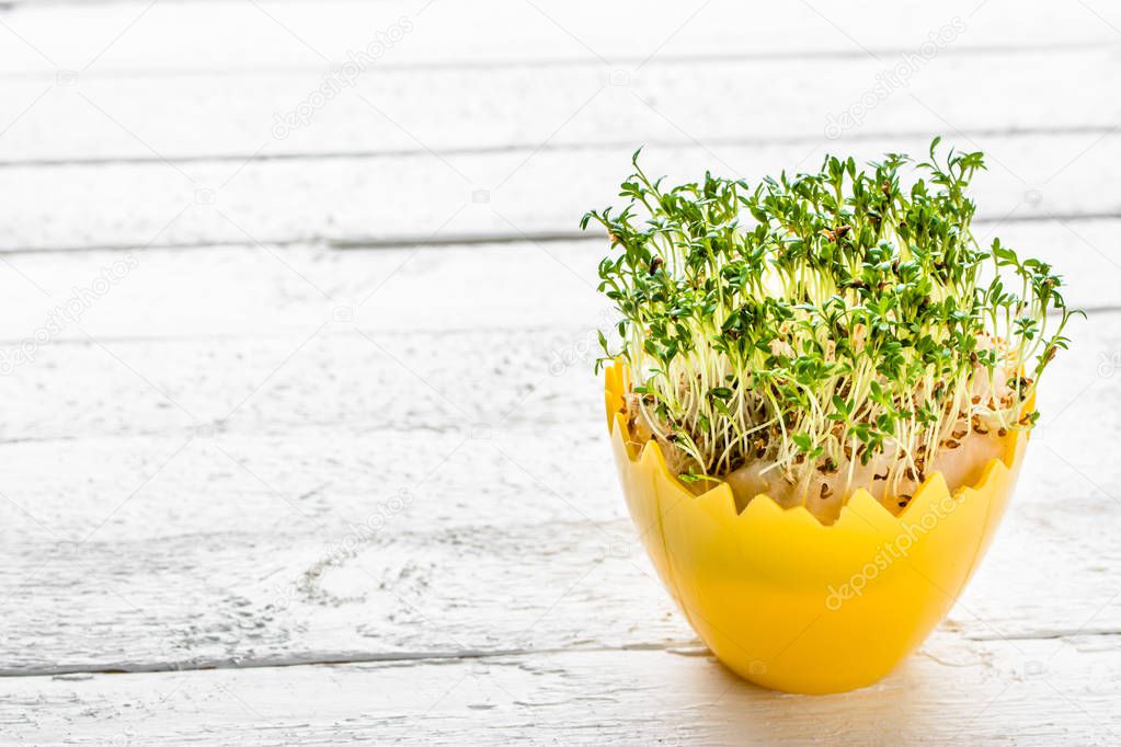 Fresh sprouts in easter egg, spring diet concept