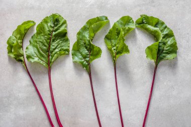 Pancar, organik sebze arka plan, taze hasat yaprakları, düz yatıyordu, en iyi görünümü taze yeşil yaprak