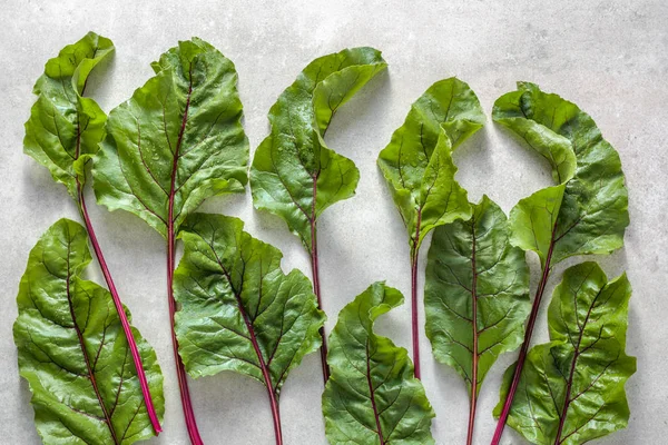 Pancar, yeşil sebzeler arka plan, taze yaprakları taze pancar yaprağı, düz yatıyordu, en iyi görünümü hasat