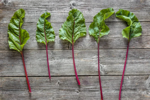 Pancar taze yeşil yaprakları. Ahşap arka plan üzerinde organik sebze.