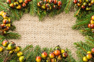 Yeşil çam çerçeve, Noel arka plan, kopya alanı