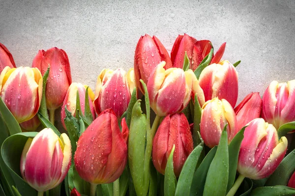 Ramo Tulipanes Colorido Fondo Pascua Primavera Regalo Para Día Madre — Foto de Stock