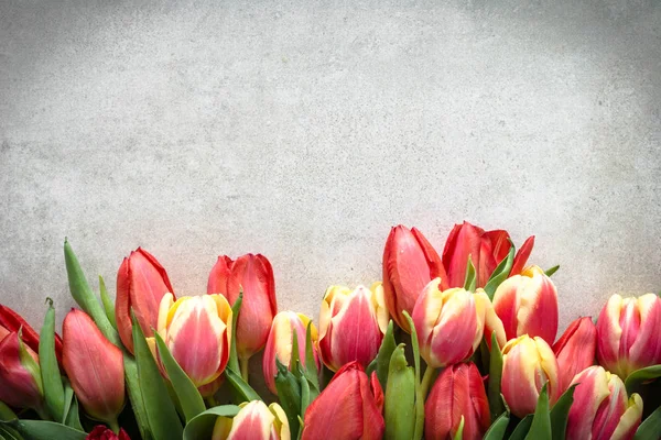 Ramo Tulipán Ramo Flores Para Tarjeta Del Día Las Madres — Foto de Stock