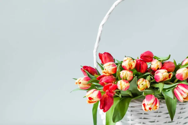 Panier Fleurs Bouquet Tulipes Sur Fond Gris Femme Carte Jour — Photo