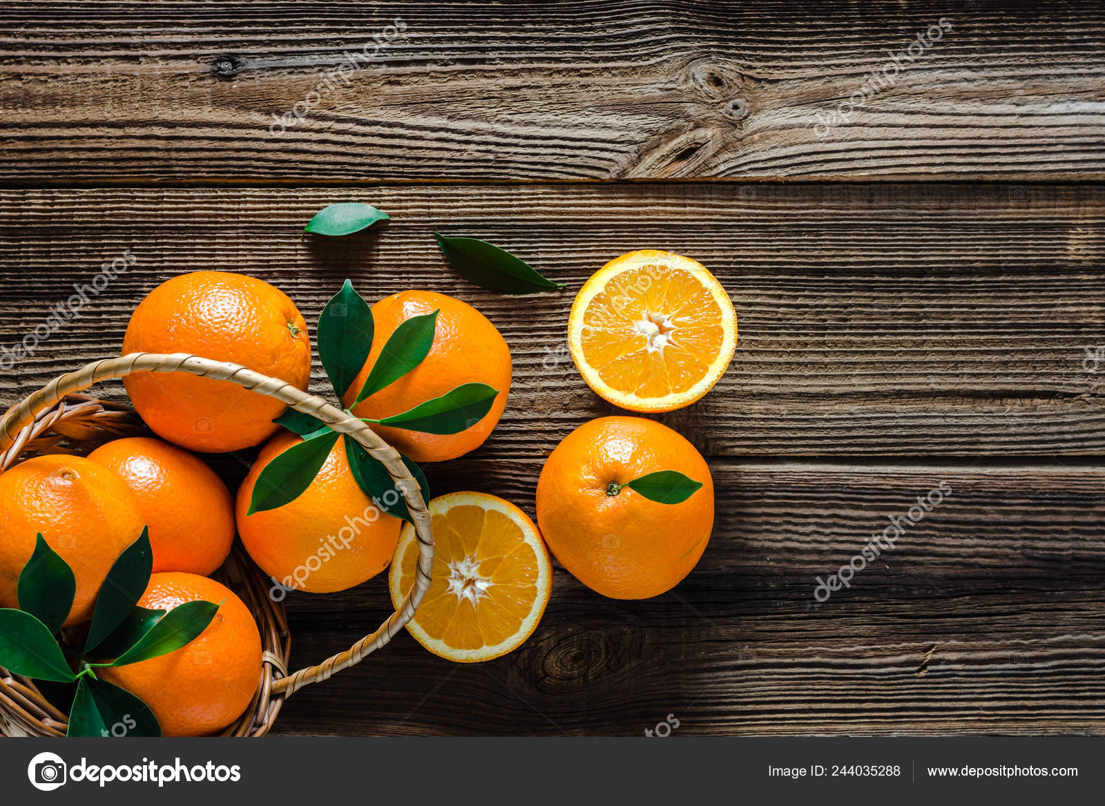 Download 930+ Background Information Of Orange Farm Paling Keren