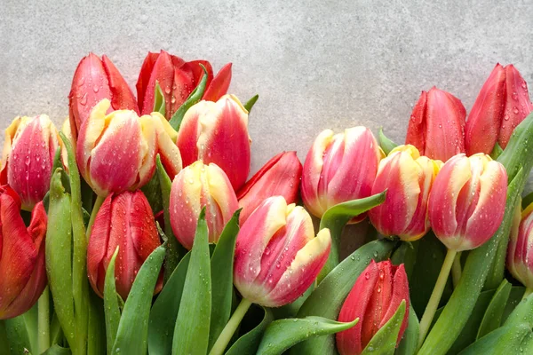 Ramo Tulipanes Fondo Para Día Madre Tarjeta Para Día Mujer — Foto de Stock