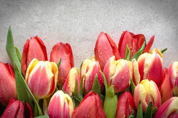 Ramo Tulipán Ramo Flores Para Tarjeta Del Día Las Madres — Foto de Stock